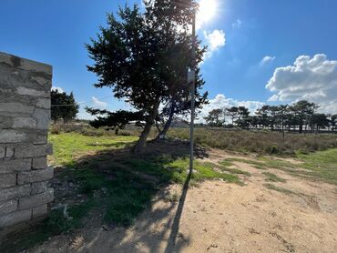 Torpaq sahələrinin satışı: Tikinti, Barter mümkündür — 2