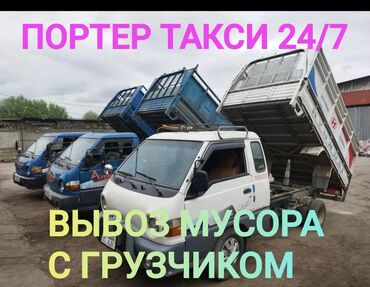 лабрадор щенок цена бишкек: Вывоз мусора Вывоз мусора Вывоз мусора Вывоз мусора Вывоз мусора