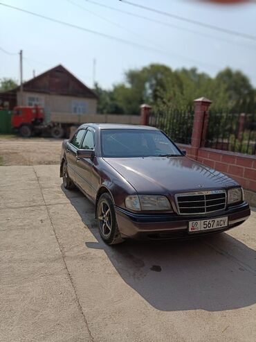 мерс автомобиль: Mercedes-Benz C-Class: 1994 г., 2 л, Механика, Бензин, Седан