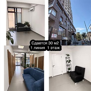 Аренда офисов, 30 м², В бизнес центре, 1 линия