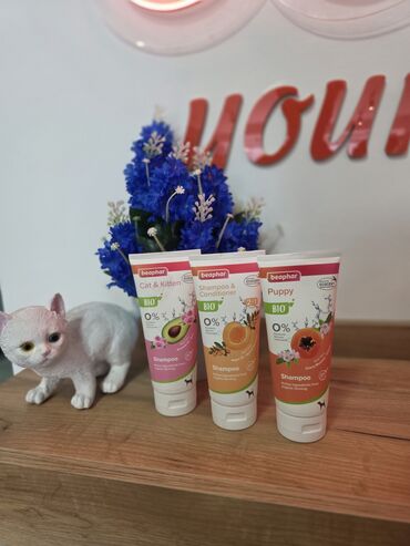 sort it: Beaphar firması premium it və pişik şampunları. Taksilə çatdırılma