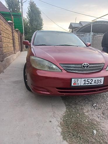 toyota echo 2000: Toyota Camry: 2002 г., 2.4 л, Автомат, Бензин, Седан — 1