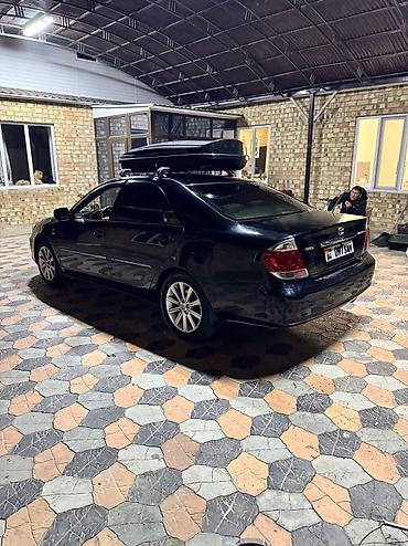 Toyota: Toyota Camry: 2004 г., 2.4 л, Автомат, Газ, Седан — 11