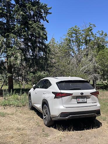 lexus: Lexus NX: 2020 г., 2.5 л, Автомат, Гибрид, Кроссовер — 4