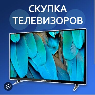 телевизор 65 дюймов бишкек: Скупка телевизоров, деньги сразу.
Интересуют модели от 50 дюймов
