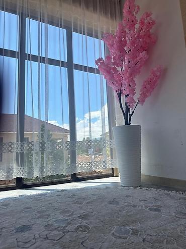 2 8: Коттедж, Diamond Resort, Бостери — 6
