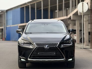 Lexus: Lexus NX: 2019 г., 2.5 л, Вариатор, Гибрид, Кроссовер — 2