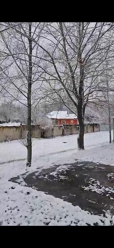 Bağ evlərinin satışı: Qəbələ, 16000 kv. m, 3 otaqlı, Hovuzsuz, İnternet — 1