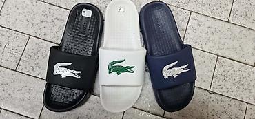 guess 38: Orginal papuče 41 do 46 za samo 3300 din — 1