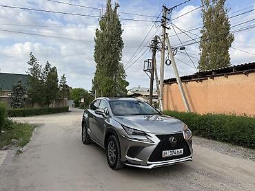 Lexus: Lexus NX: 2020 г., 2 л, Автомат, Бензин, Кроссовер — 3