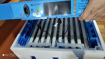 ınqbator: Çin, Fabrik istehsalı, Tam avtomat, Bütün növ quşlar üçün — 9