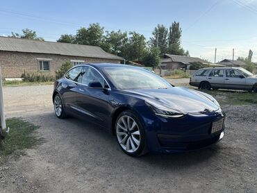 автомобиль тесла: Электромобиль Tesla Model 3 синего цвета с характерным дизайном