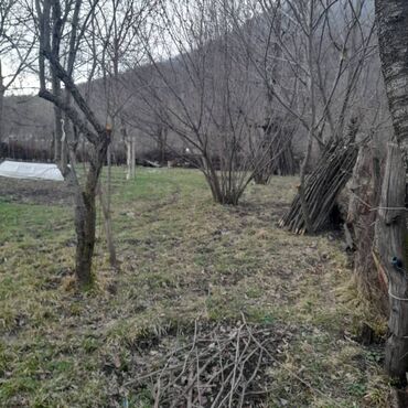 Torpaq sahələrinin satışı: 8 sot, Tikinti, Bələdiyyə — 12