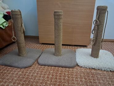 Зоотовары: Когтеточки оптом и в розницу, бесплатная доставка по городу, так же