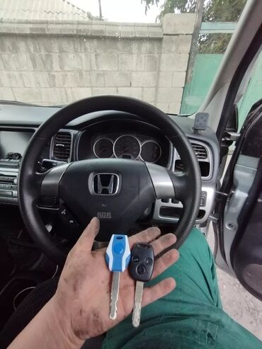 устройство для удаления косточек вишенка: Изготовление чип ключей восстановления подбор ключей вскрытие авто
