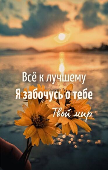 гектор от клопов бишкек: Набираю в команду продажистов с опытом и без опыта работы, реальные