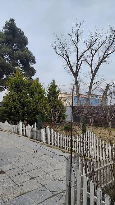 Həyət evləri və villaların satışı: 8 otaq, 172 kv. m, Orta təmir -da lalafo.az — 17 Həyət evləri və villaların satışı: 8 otaq, 172 kv. m, Orta təmir — 17