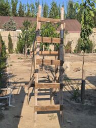 Torpaq sahələrinin satışı: 8 sot, Mülkiyyətçi, Kupça (Çıxarış) -da lalafo.az — 18 Torpaq sahələrinin satışı: 8 sot, Mülkiyyətçi, Kupça (Çıxarış) — 18