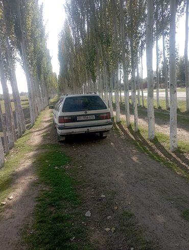 коробка передач пассат: Volkswagen Passat Variant: 1990 г., 1.9 л, Механика, Дизель