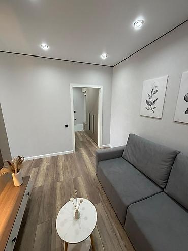 квартира 9мкр: 1 комната, 45 м², Технопарк 106 серия, 9 этаж, Евроремонт — 5