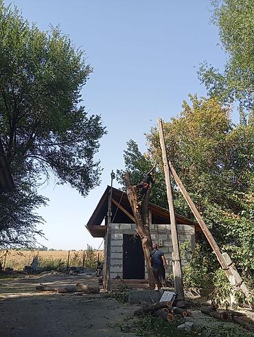 работа гипсокартон цена: Профессиональная валка КАРА -БАЛТА !!!!!!! деревьев!(БАК) и — 4
