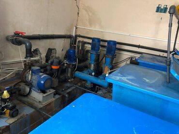 Kommersiya daşınmaz əmlakının satışı: Zirə Kəndi, 10 hektar sahəsi olan parnik satılır. 5 hektar yarım — 14