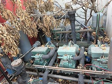 Ремонт промышленного оборудования: Ремонт и обслуживание холодильного оборудования Профессиональная — 12