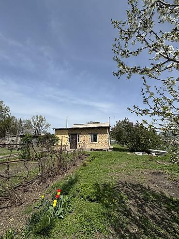 Продажа коттеджей и домов: Дом кирпичный, 4 комнаты Большой участок, 20 сотых, село Гроздь — 7