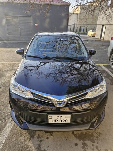 Toyota: Toyota Corolla: 1.5 l | 2018 il Universal