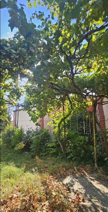 Həyət evləri və villaların satışı: 3 otaqlı, 1500 kv. m, Kredit yoxdur, Orta təmir — 9