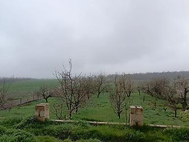 evdən satış: Quba, 221 kv. m, 8 otaq, Hovuzsuz, İşıq — 7