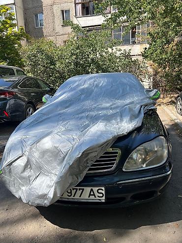 Тенты: Универсальный тент Для легковых авто — 6