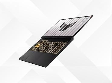 ASUS: ASUS TUF Gaming F16 FX608LM-BS96 90NR0KJ1-M00020 ASUS TUF Gaming F16 — 5