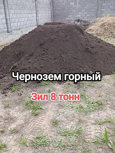 plaud note: В тоннах, Зил — 1