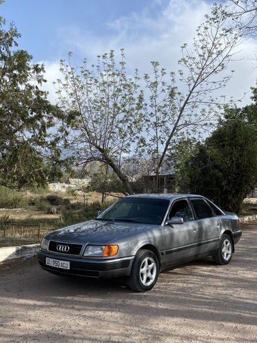 пассат б5 бампер: Audi 100: 1993 г., 2 л, Механика, Бензин, Седан