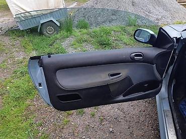 d3 mini uredjaj: VRATA ZA 206CC ZA PEUGEOT 206 | Kompletna vrata za peugeot 206 — 3