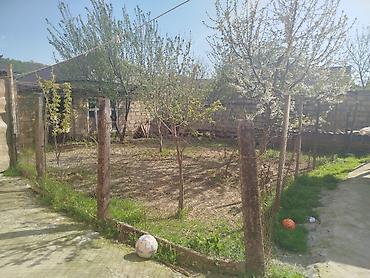 Torpaq sahələrinin satışı: 2 sot, Tikinti, Mülkiyyətçi, Kupça (Çıxarış) -da lalafo.az — 12 Torpaq sahələrinin satışı: 2 sot, Tikinti, Mülkiyyətçi, Kupça (Çıxarış) — 12