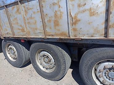 Тягачи: Тягач, Shacman, 2019 г., Бортовой — 7