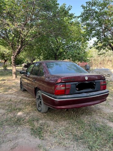 фары на опель вектра б: Opel Vectra: 1994 г., 1.8 л, Механика, Бензин, Седан