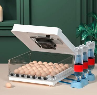 Oprema za kućne ljubimce: INKUBATOR Automatski nove generacije za 130 jaja 12v/220v — 3