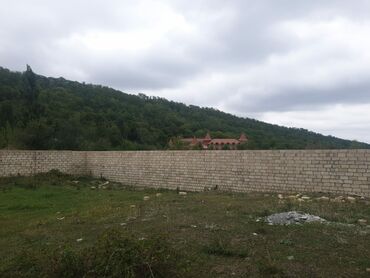 Torpaq sahələrinin satışı: 15 sot, Kənd təsərrüfatı, Mülkiyyətçi, Kupça (Çıxarış) — 11