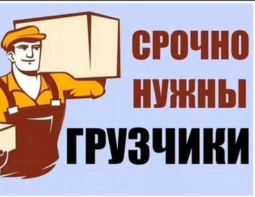 водитель се вакансии: Срочно требуется водитель и грузчики. Возраст от 30. Зарплата высокая