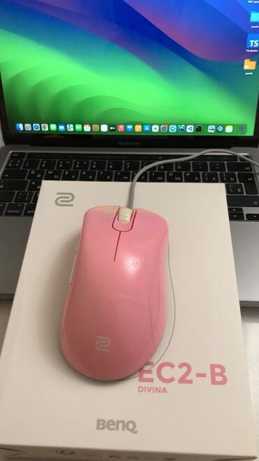 мышки для компьютера: Проводная игровая мышь BenQ Zowie EC2-B Divina Pink(полный комплект)