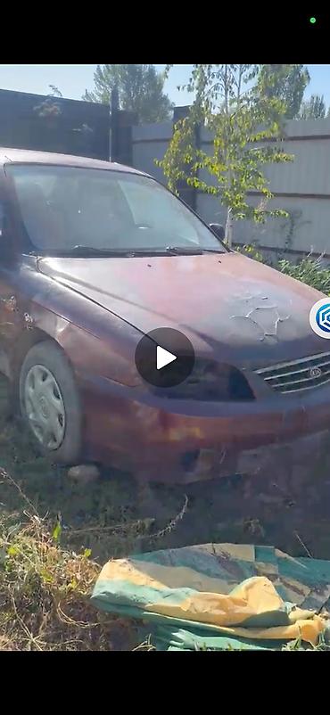 Kia Spectra: 2006 г., 1.6 л, Механика, Бензин, Седан