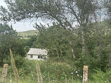 полки в аренду: 40 соток, Для строительства, Тех паспорт, Договор купли-продажи, Красная книга — 2