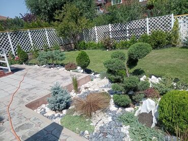 Другие услуги: 🍀стрижка хвойных🍀 🍀обрезка деревьев🍀 🍀Газон под ключ. 🍀Все виды — 10