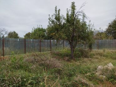 Torpaq sahələrinin satışı: 4 sot, Tikinti, Maklerlər narahat etməsin, Kupça (Çıxarış) -da lalafo.az — 17 Torpaq sahələrinin satışı: 4 sot, Tikinti, Maklerlər narahat etməsin, Kupça (Çıxarış) — 17