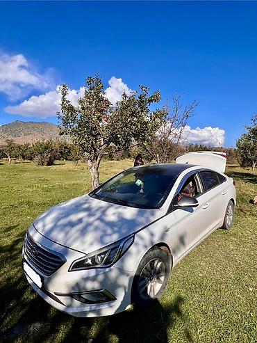 sonata uf: Hyundai Sonata: 2015 г., 2 л, Автомат, Бензин, Седан — 1