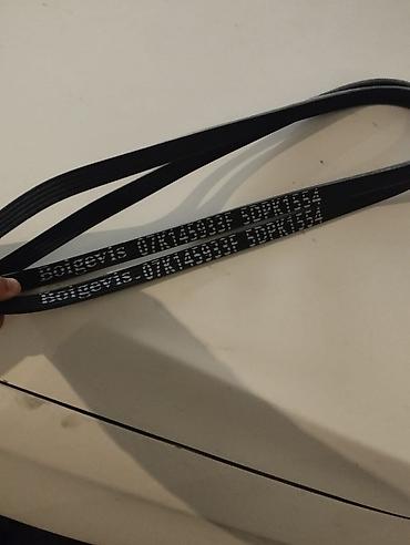 velosiped ucun mator: RIDEX V-Ribbed Belts (çox yivli kəmər) - Brend: RIDEX - Model/Part — 3