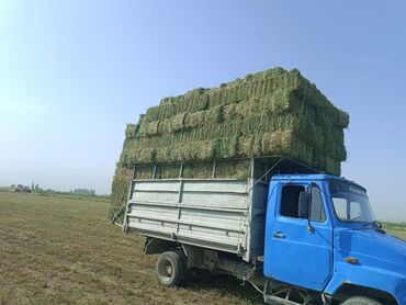 оптовые цены на продукты питания в бишкеке: Зил бичок сатылат самасывал обиом 4, 7 дизель турбина бар жылы 2007